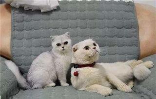 刘二豆与娱乐吃瓜君