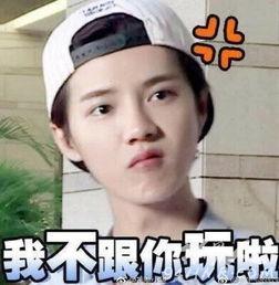 暴走表情包鹿晗,暴走风潮下的青春偶像魅力